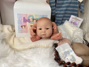 Li-Hua-14-limbs-beborn-002
