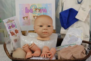 Merle-DeLange-beborn-1-4-limb-003