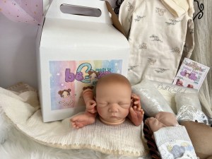 Noe-14-limbs-beborn-002